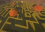 Giant pumpkins hidden in a hay-bale maze in Minecraft