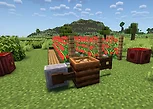 SeedstoSustain.png